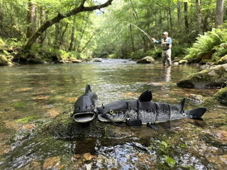 Articulated Catfish Figurine – 7" 3D-Printed Collectible with Glass Eyes